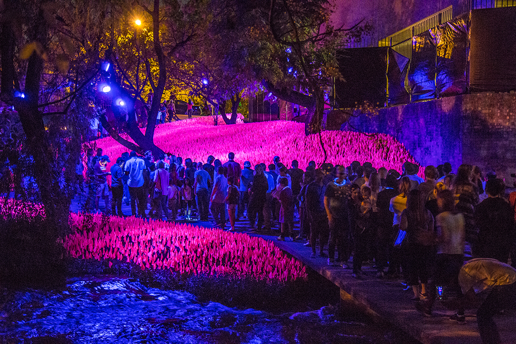 Waller Creek Show