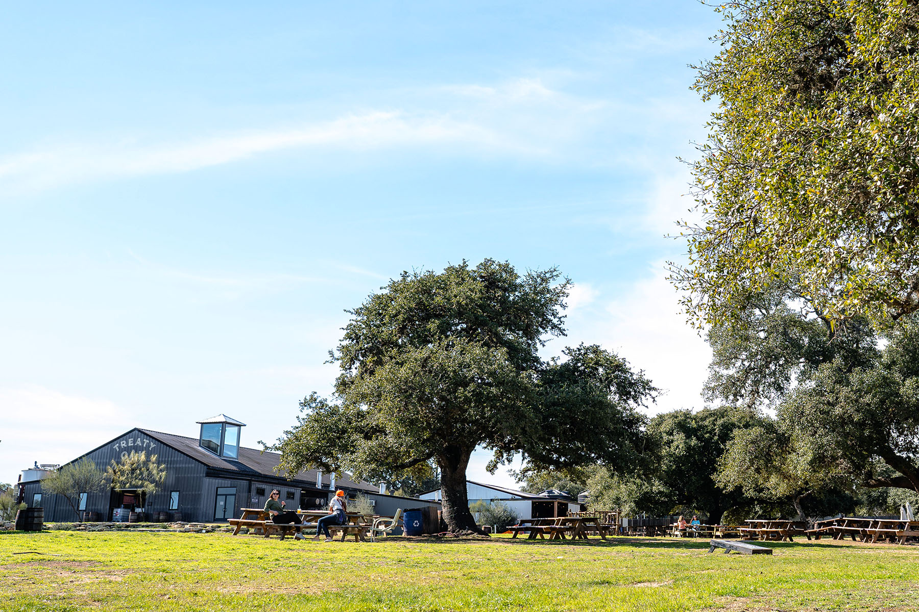 Treaty Oak Distilling. Photo: Gabe Phelan w/ permission Treaty Oak Distilling