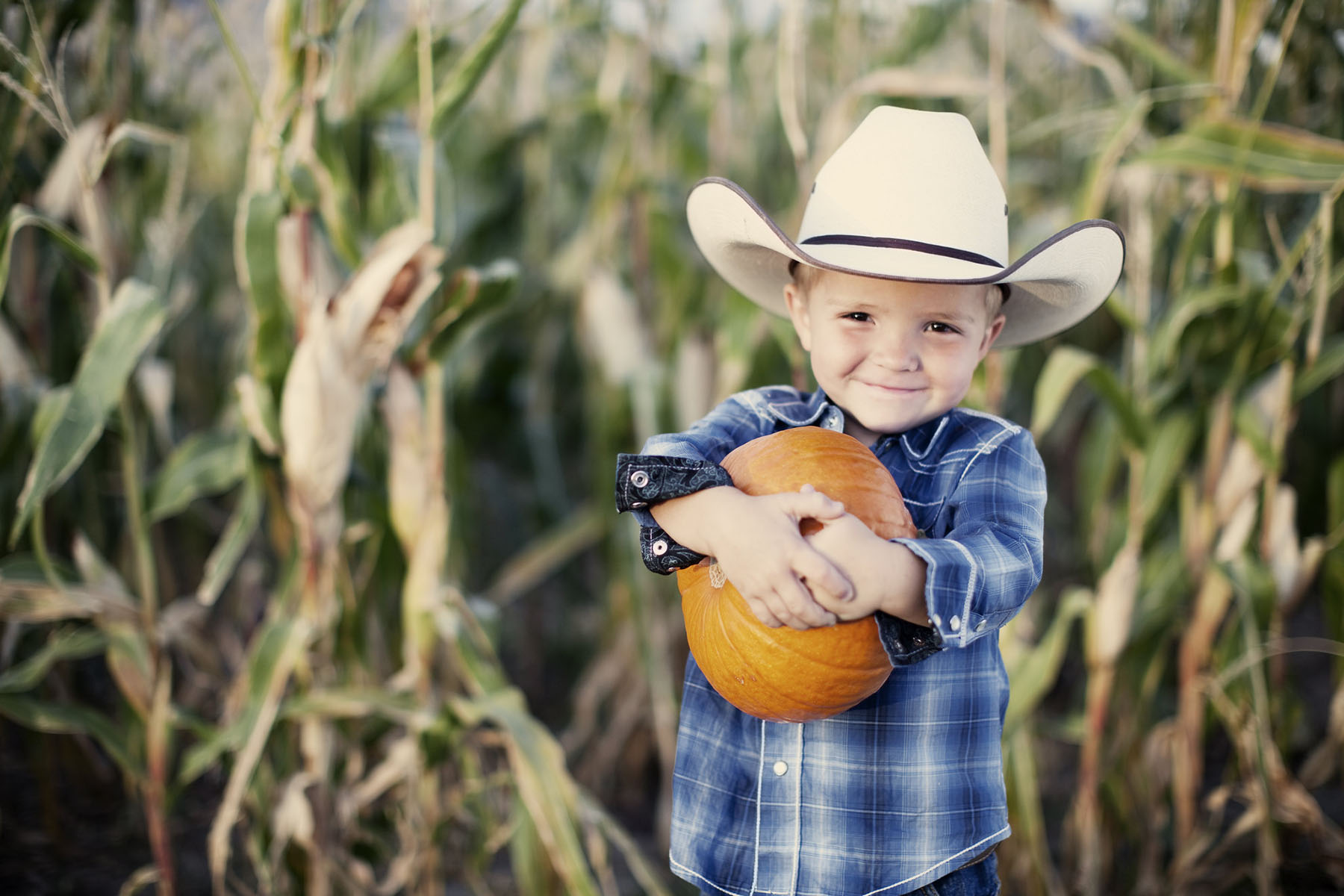 Barton Hill Farms - Photo courtesy Barton Hill Farms Media Center